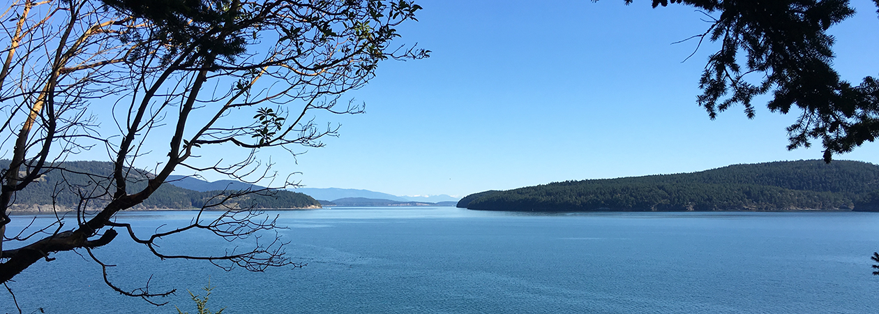 search properties on Orcas Island